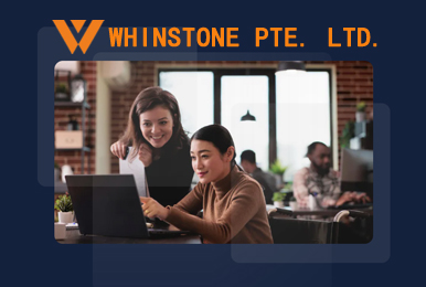 WHINSTONE PTE. LTD website development project