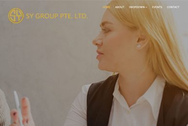 SY GROUP PTE. LTD. Web development project